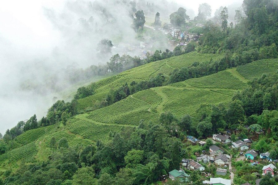 Bunkulung
