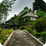 sldpic-4
